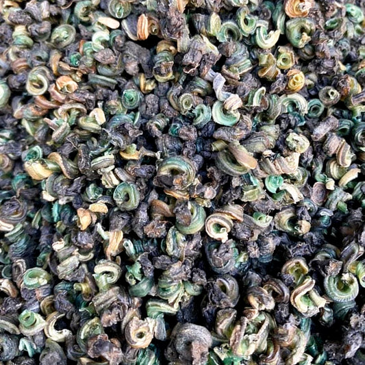 DRY PERIWINKLES